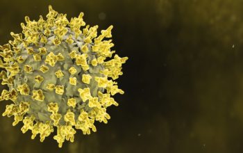 Infecția cu virusul Marburg transmis sexual: cauze, simptome și opțiuni de tratament